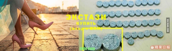 прущие грибы Лабытнанги