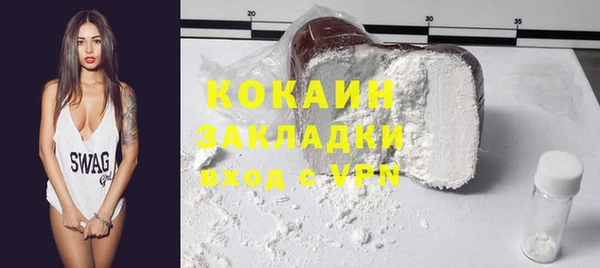 прущие грибы Лабытнанги