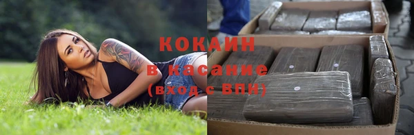 прущие грибы Лабытнанги