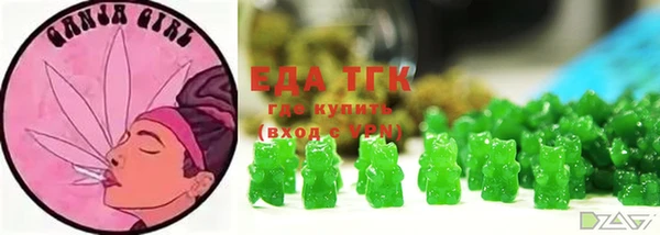 прущие грибы Лабытнанги