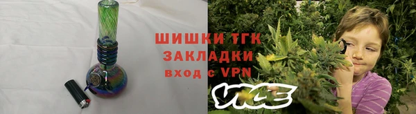 прущие грибы Лабытнанги