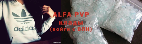 прущие грибы Лабытнанги