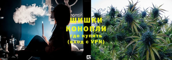 прущие грибы Лабытнанги