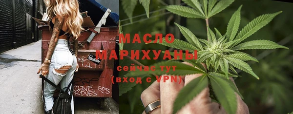 прущие грибы Лабытнанги