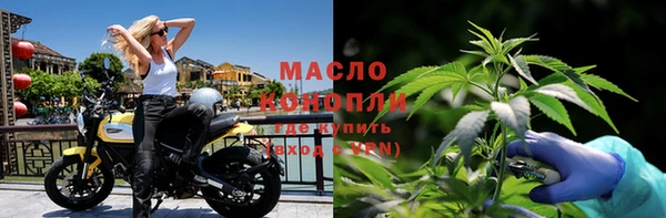 прущие грибы Лабытнанги