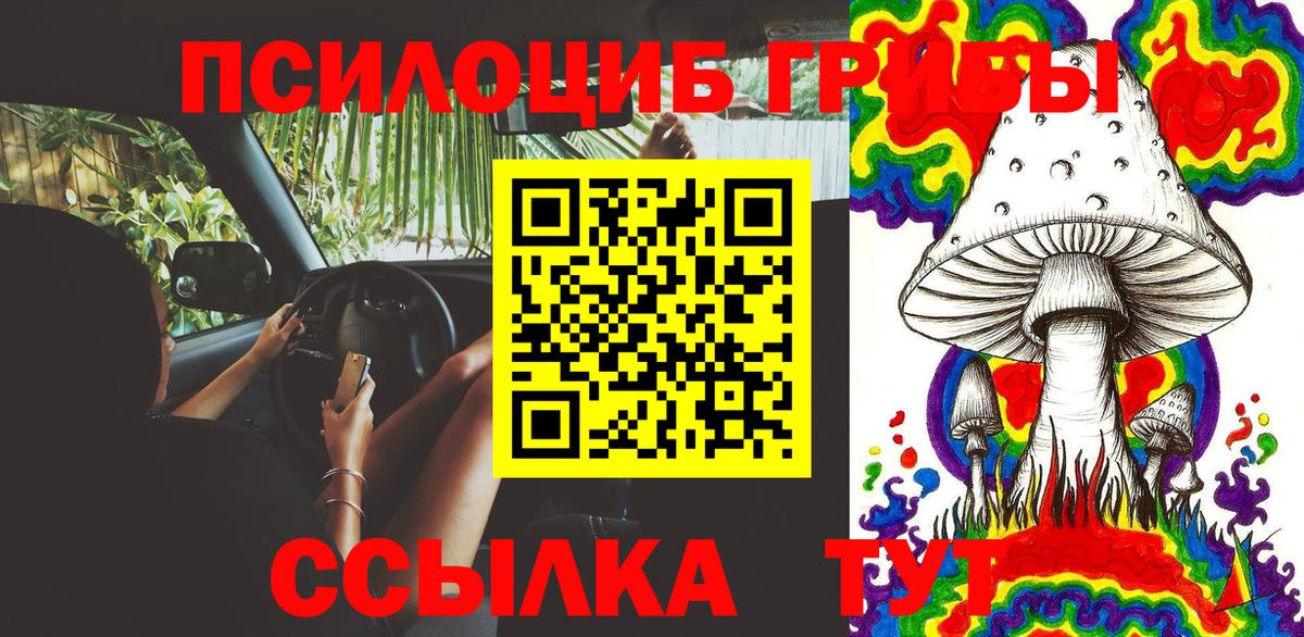 Галлюциногенные грибы прущие грибы Урус-Мартан